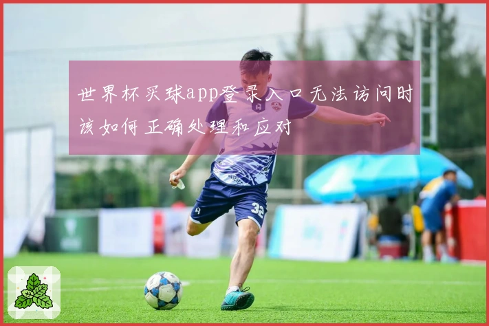 世界杯买球app登录入口无法访问时该如何正确处理和应对