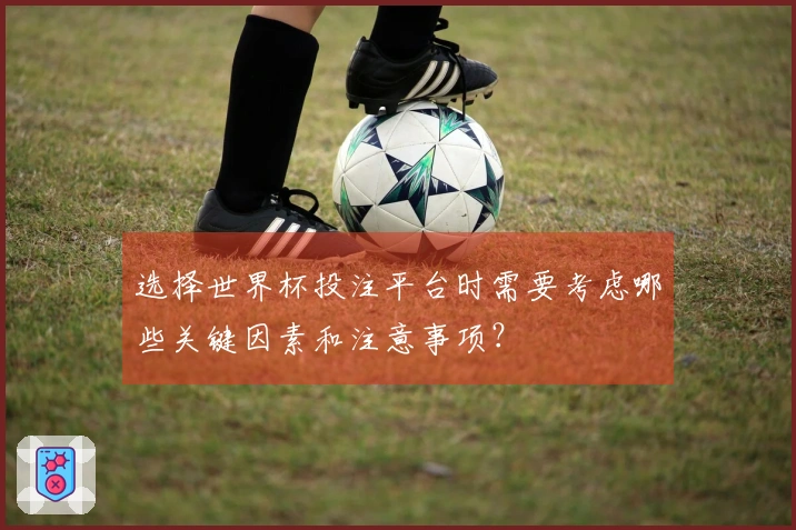 选择世界杯投注平台时需要考虑哪些关键因素和注意事项？