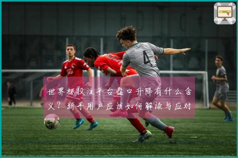 世界杯投注平台盘口升降有什么含义？新手用户应该如何解读与应对